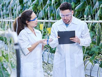 Expertise And Services